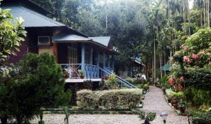 Aranya Jungle Resort - Dooars Resorts
