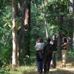 satpura national park