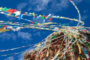The Prayer Flags - Sikkim Tourism