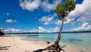 Havelock Island - Places To Visit In Andaman And Nicobar Island
