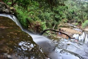 Vattakanal Falls - Kodaikanal Tourist Places