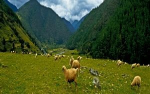 Ziro valley - Unexplored Places of North-East