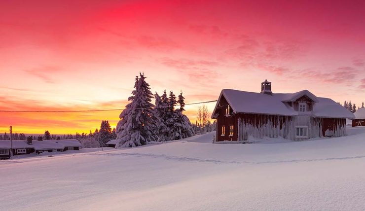 Winter Morning in Norway