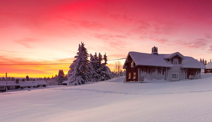 Winter Morning in Norway