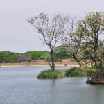 Budhapara Lake