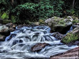 Siruvani waterfalls