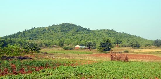 Agricultural activities
