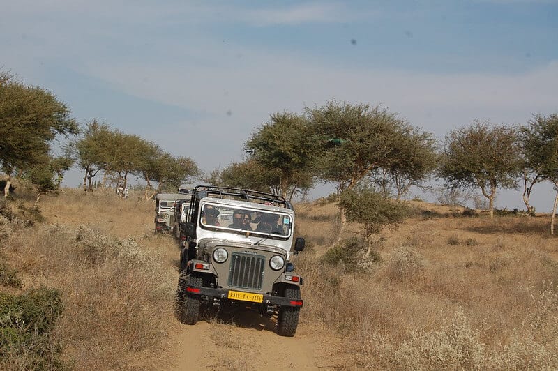 Jeep-Safari - Thar Desert in India