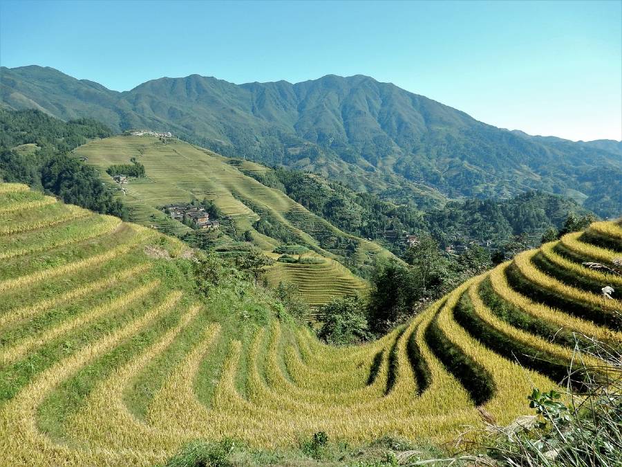 The Longji Rice Terraces - Things To See In China
