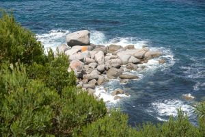 Cape Point - Things to do in Cape Town