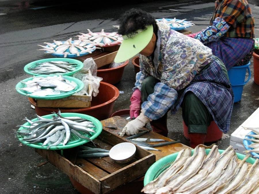 Busan Fish Market