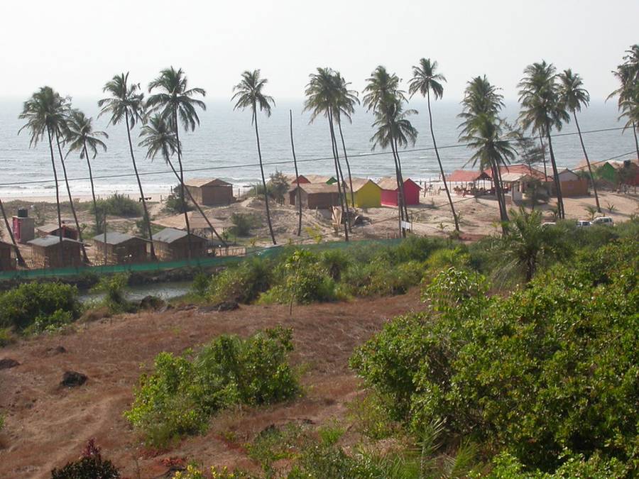 Mandrem Beach - Best Beaches in Goa