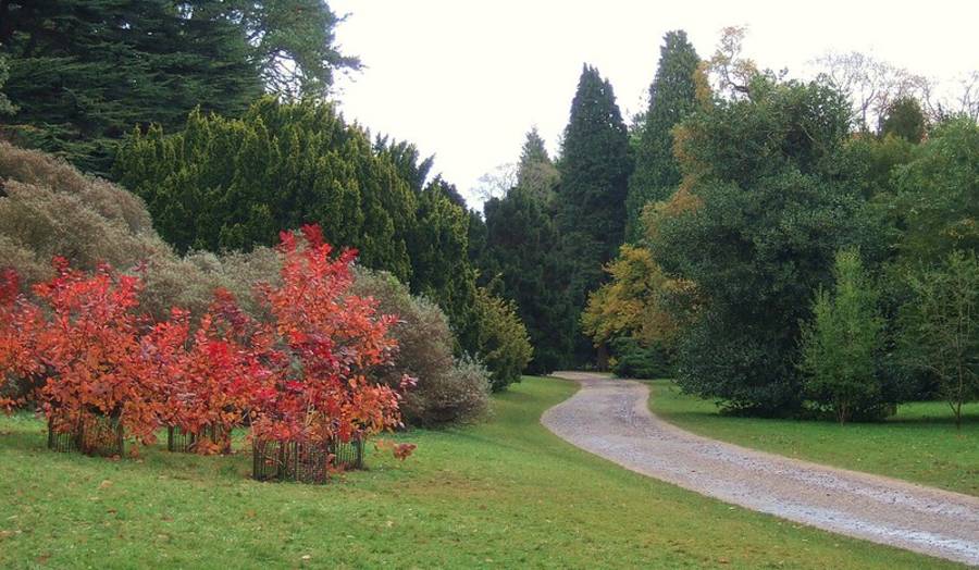 Westonbirt - Unwind and Relax in London