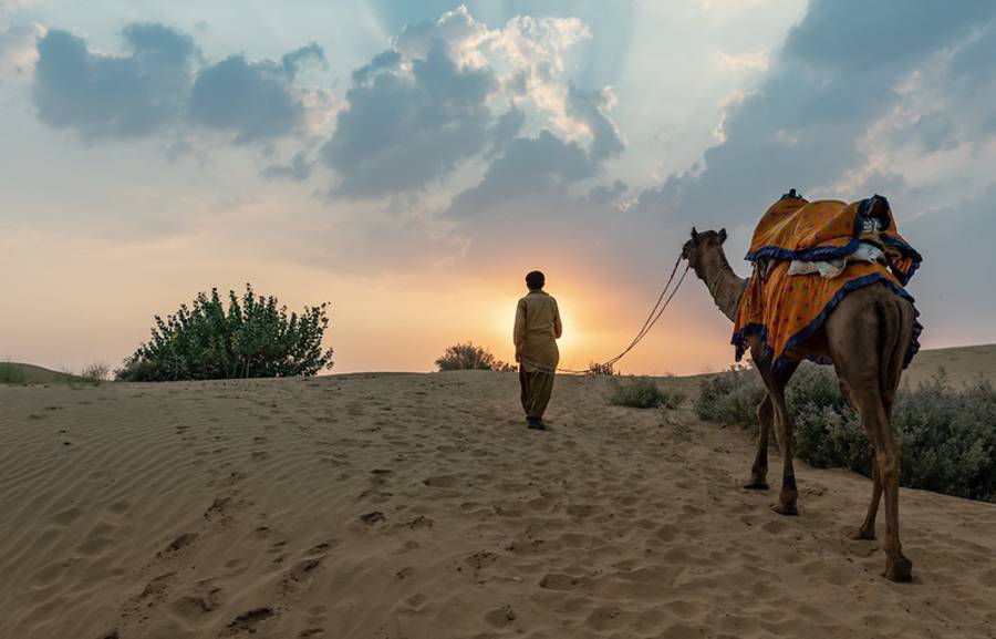 Desert Safari in India