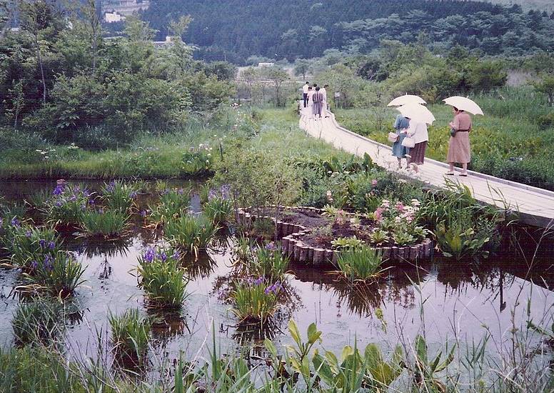 Botanical Garden Hakone