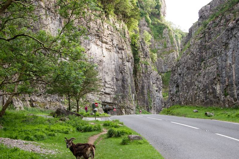 Top road trips for a UK car holiday