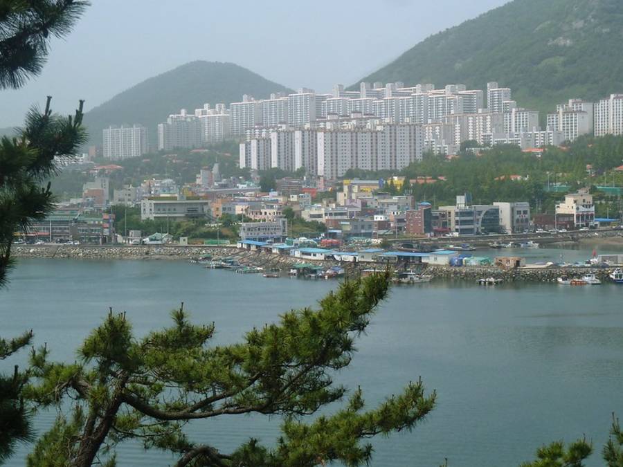 Explore Yeosu Islands - What To Do In Yeosu