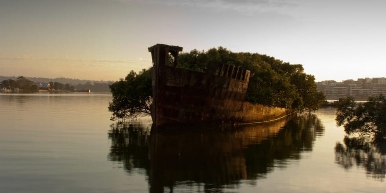 The remains of the SS Ayrfield in Homebush Bay