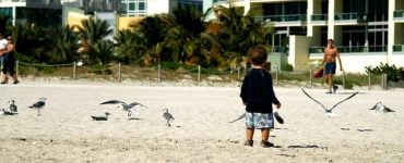 5 Exciting Things to Do With Your Kids in Miami