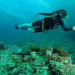 Learn scuba diving in Thailand