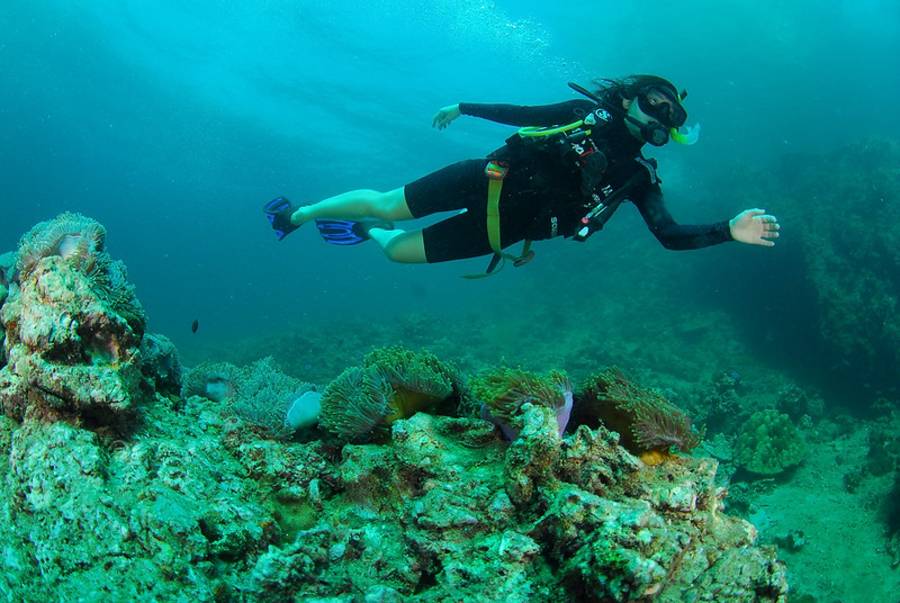 Learn scuba diving in Thailand