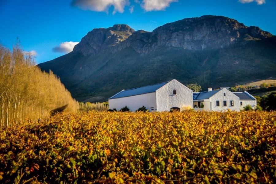 Day trip to Franschhoek