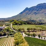 South Africa’s Wine Place- Stellenbosch