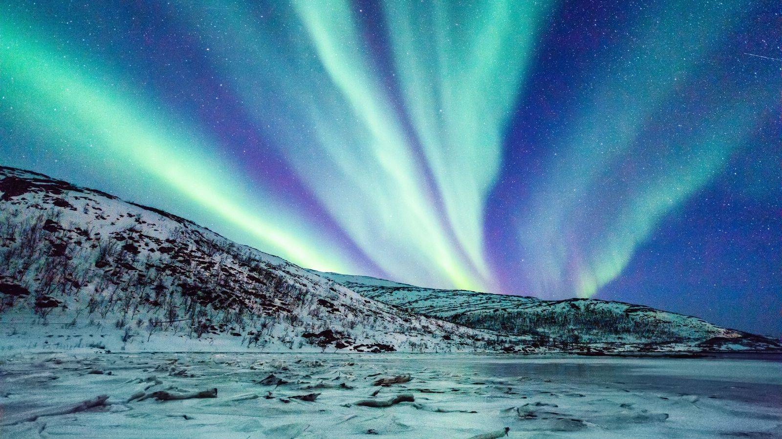visit the Northern Light - Colours in the Northern Sky