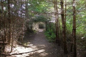 Hobbit Trail - Hidden Gems of the Pacific Northwest