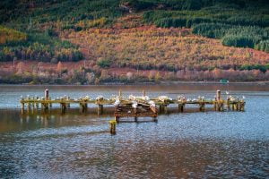 Loch Lomond - Campervan Touring Destinations in Scotland