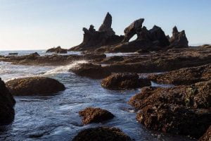 Shi Shi Beach - Hidden Gems of the Pacific Northwest