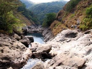 Silent Valley National Park - Wildlife Sanctuaries in Kerala
