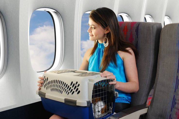 Traveling By Air With Pets