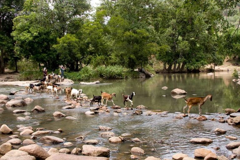 6 Wildlife Sanctuaries in Kerala