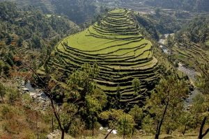 Almora - Places To Visit In Uttarakhand