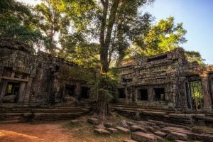 Ta Prohm - Temples Of Angkor In Cambodia