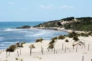 What to see and do in Tarifa