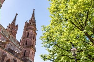 Basler Münster - Things To Do In Basel