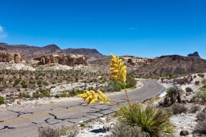 Historic Route 66 - Road Trips in the U.S